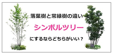 孤樹|孤樹（こじゅ）とは？ 意味・読み方・使い方をわかりやすく解。